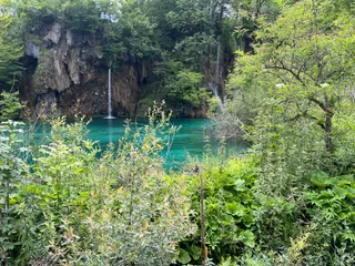 Veliki prštavac