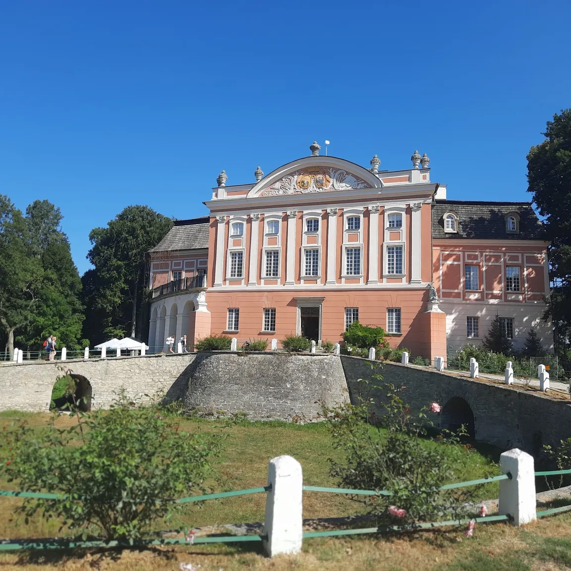 Labirynt w kukurydzy i bukowy