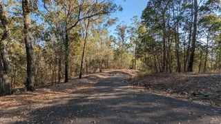 Keperra Bushland