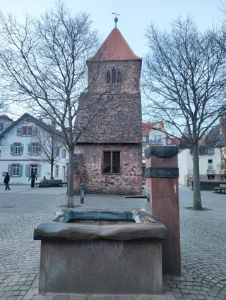 Fountain with frog