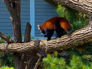 Seneca Park Zoo