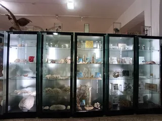 Marine Biology Museum
