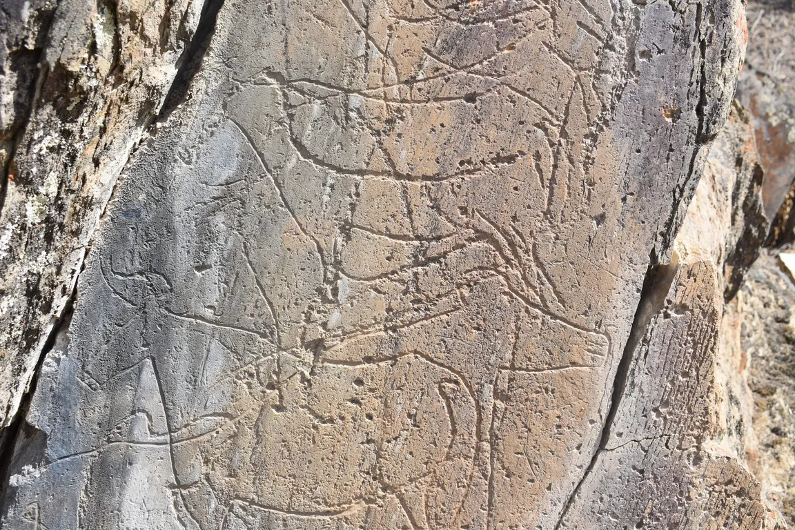 Park Archeologiczny Doliny Côa