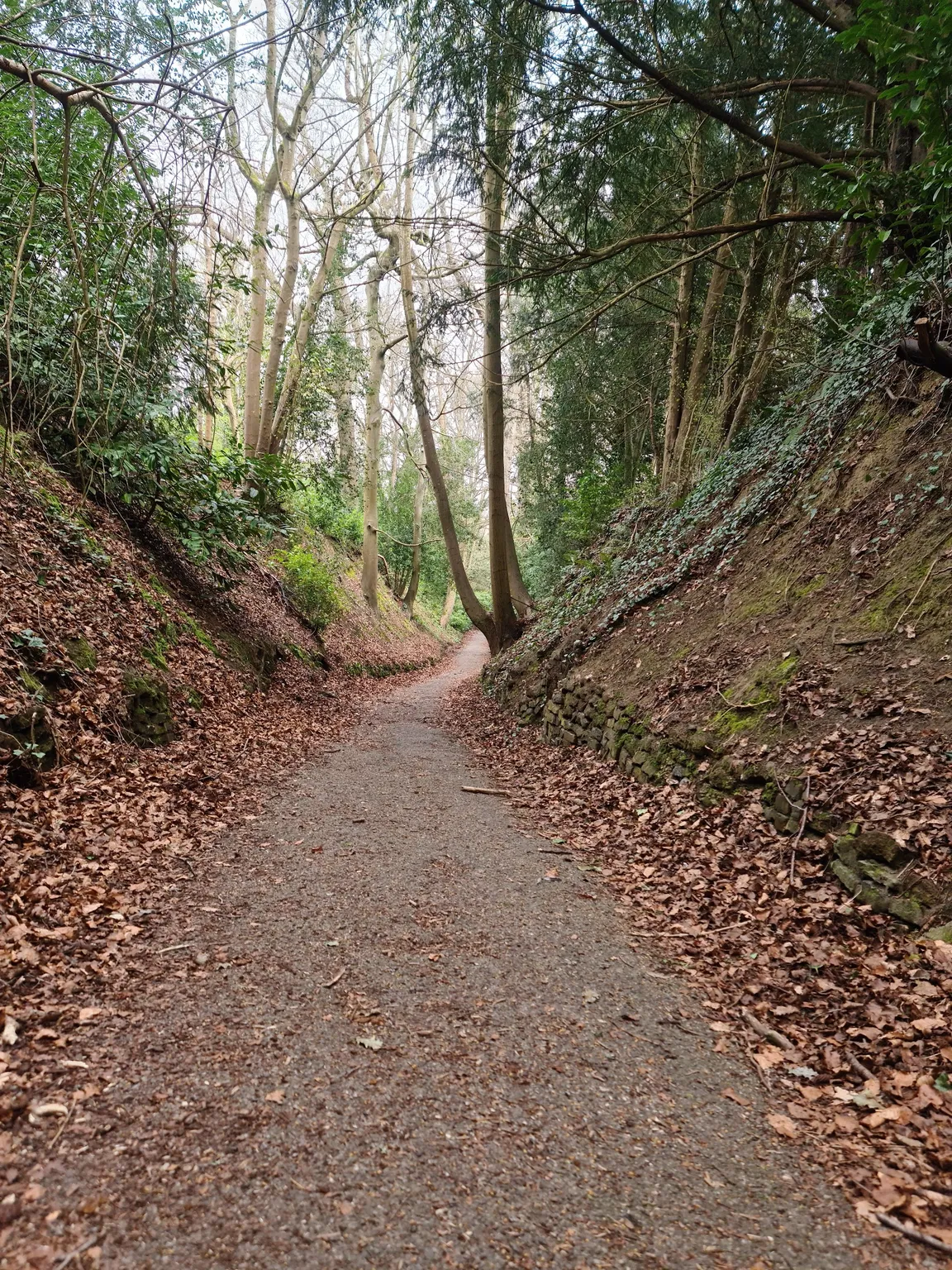 Yeovil Country Park