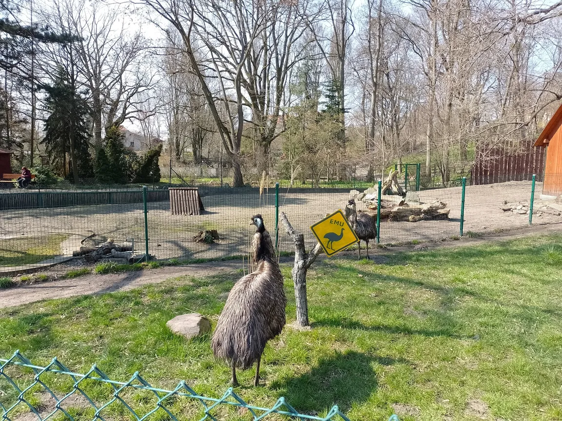 Ogród Zoobotaniczny w Toruniu