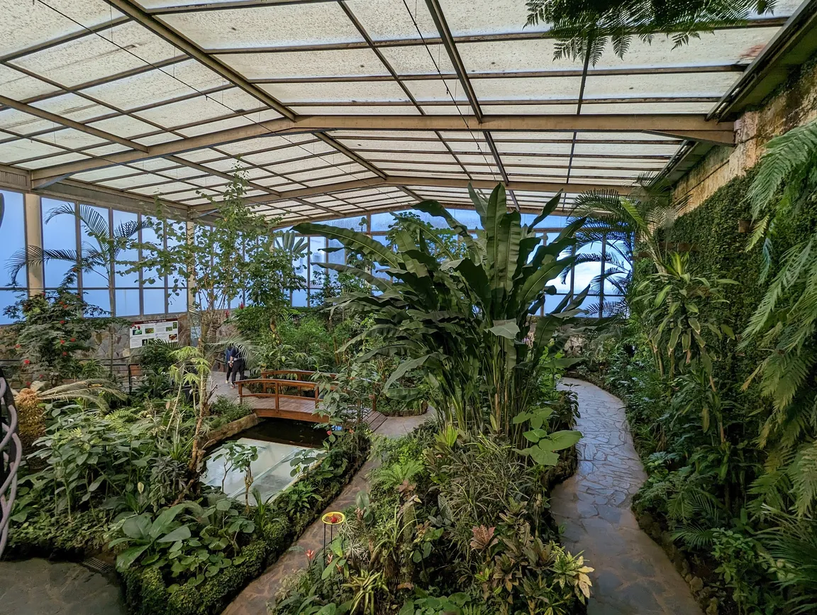 Mariposario del Drago Butterfly Park