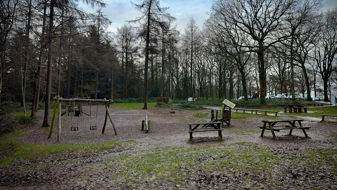 Wyre Forest - Forestry England