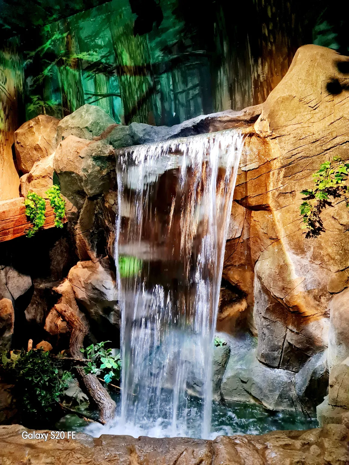 Sea Life Munich