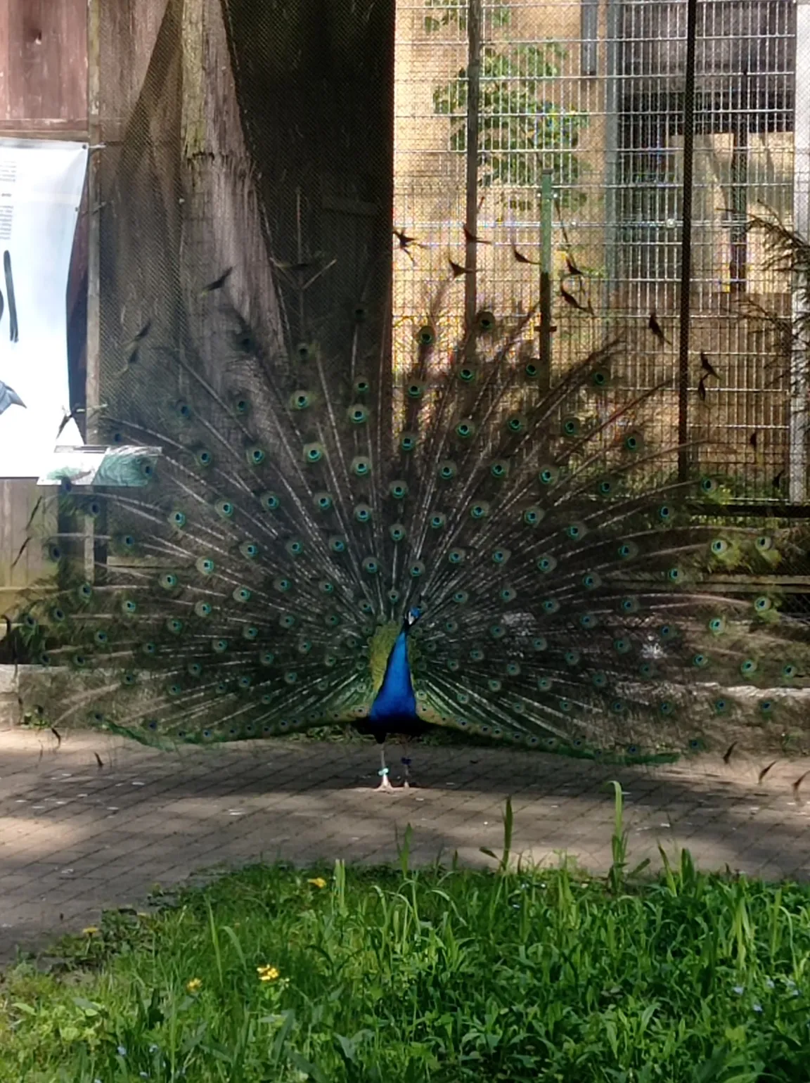 Ogród Zoologiczny w Bydgoszczy