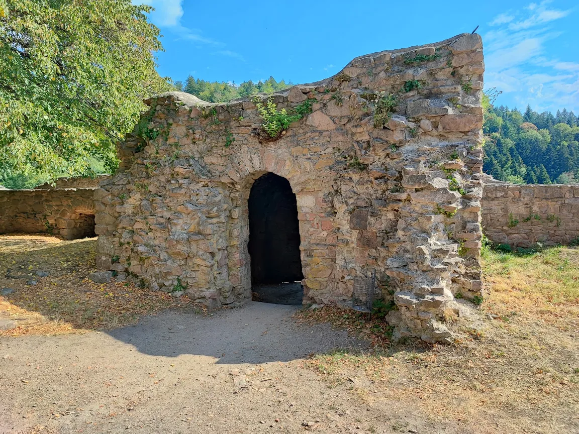 Ruine Schauenburg
