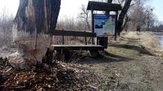 Szlak Kajakowy Poleska Dolina Bugu - Tablica informacyjna Orchówek