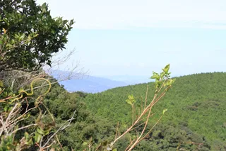 烏帽子岳