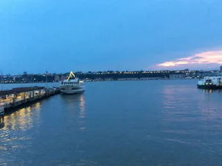 Pier 81