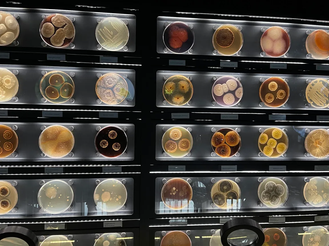 Micropia