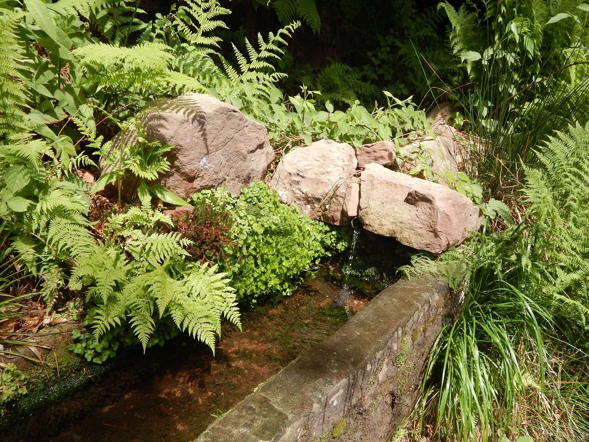 source des corbeaux