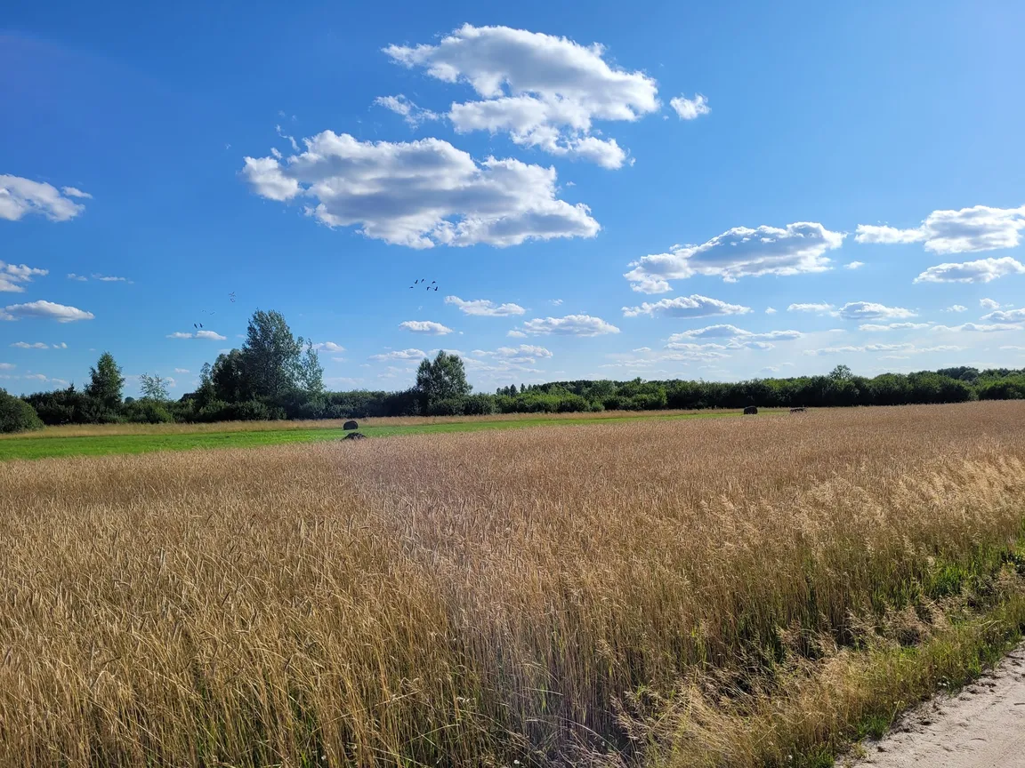 Ścieżka dydaktyczna „Czahary”