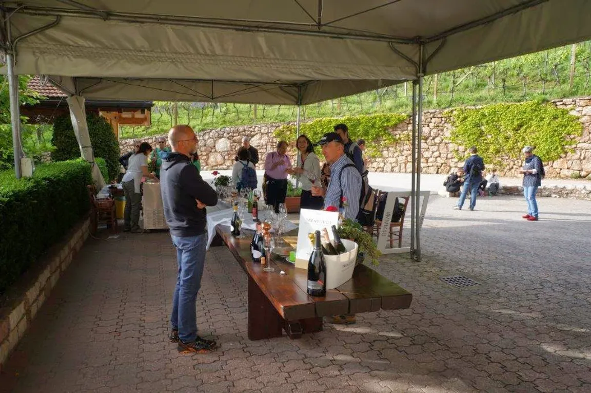 Strada del Vino e dei Sapori del Trentino
