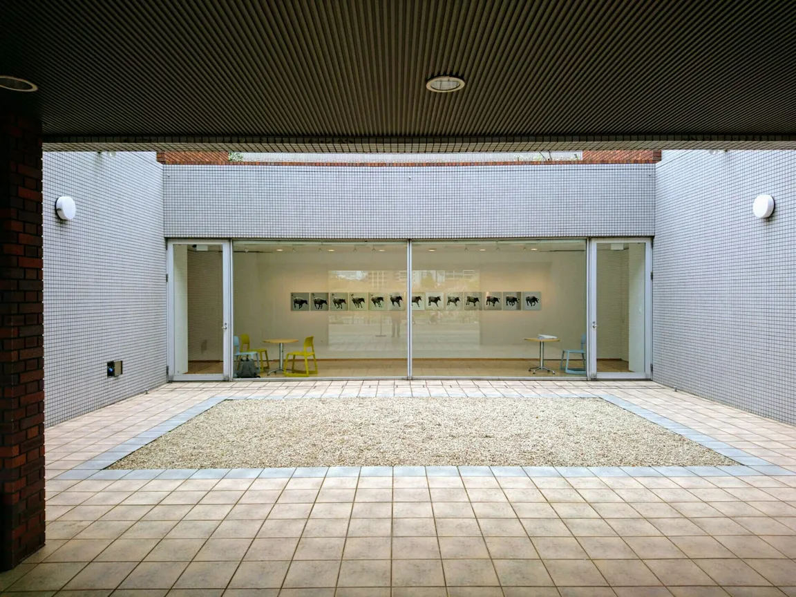 Art Court Gallery