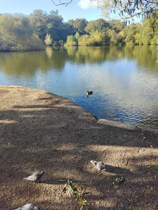Southampton Common
