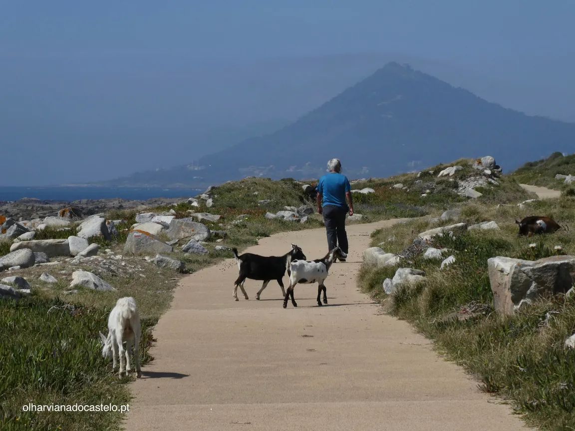 Atlantic Coastal Greenway/bike trail