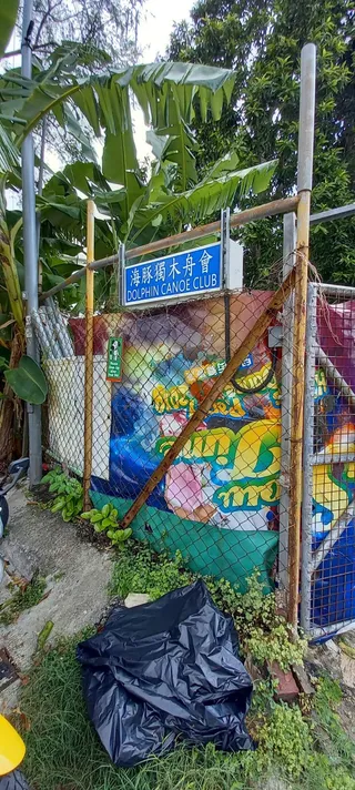 海豚獨木舟會
