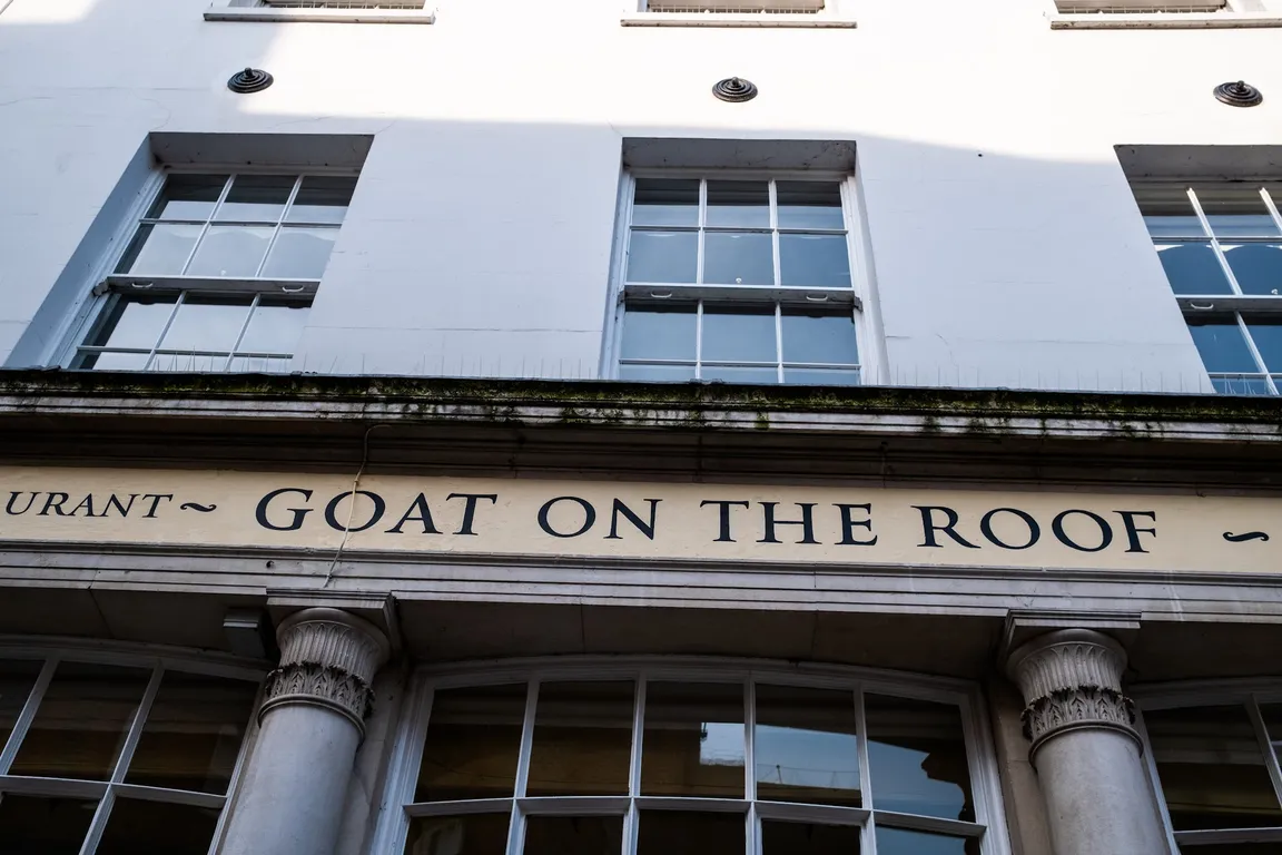 GOAT ON THE ROOF