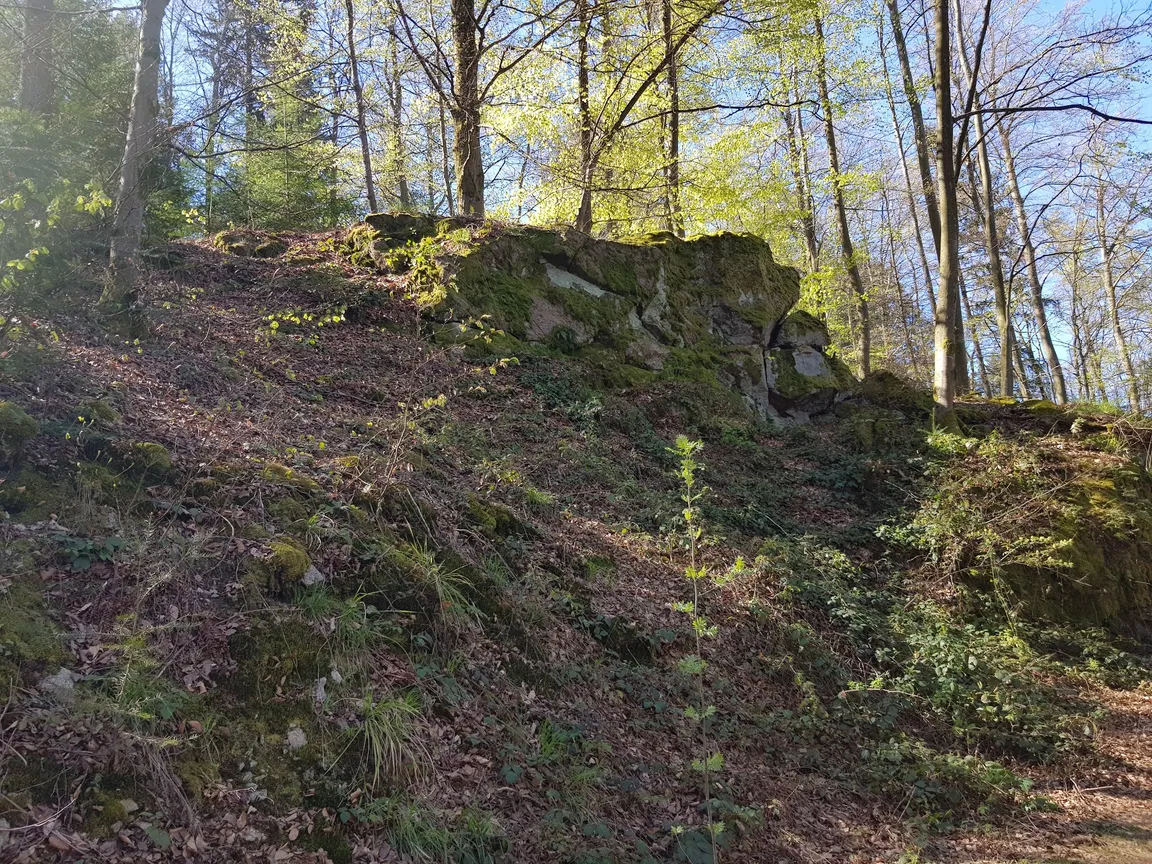 Kreuzfelsen (Bernickelfelsen)