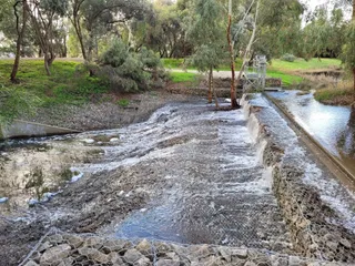 Kaurna Park Wetlands