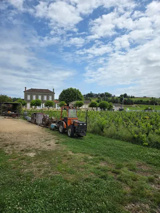 Bordeaux Wine Pilgrim