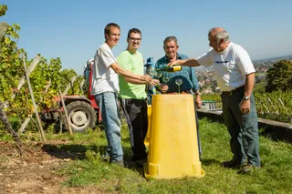 Vins d'Alsace Hubert KRICK