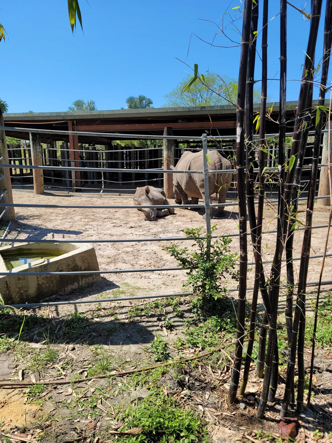 ZooTampa at Lowry Park