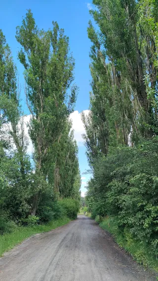 Wiata Grillowa Nad Wieprzem
