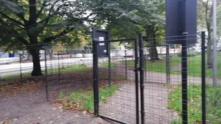 Wybieg dla psów