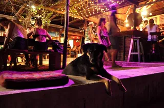 Echo Beach Hostel