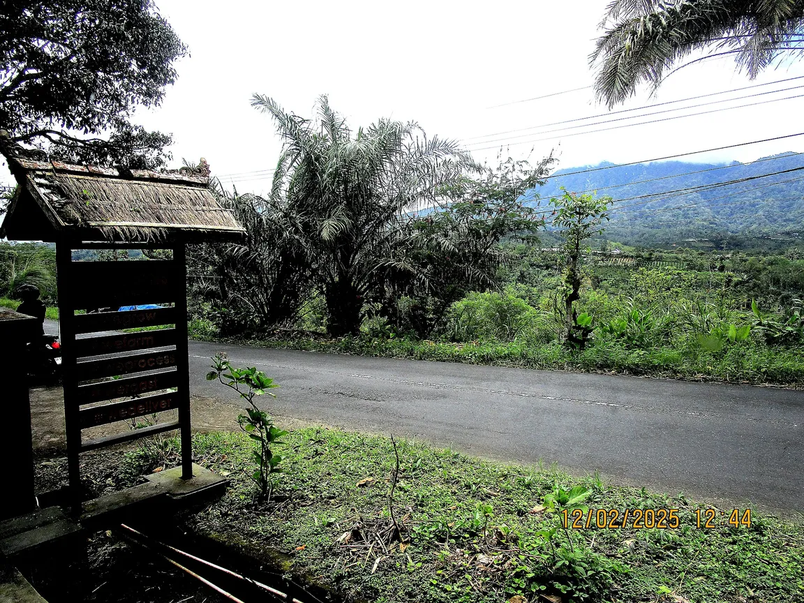 Bali Beans Plantation