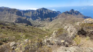 Teneriffa-Kreaktiv