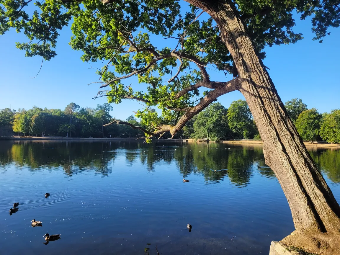 Black Park Country Park