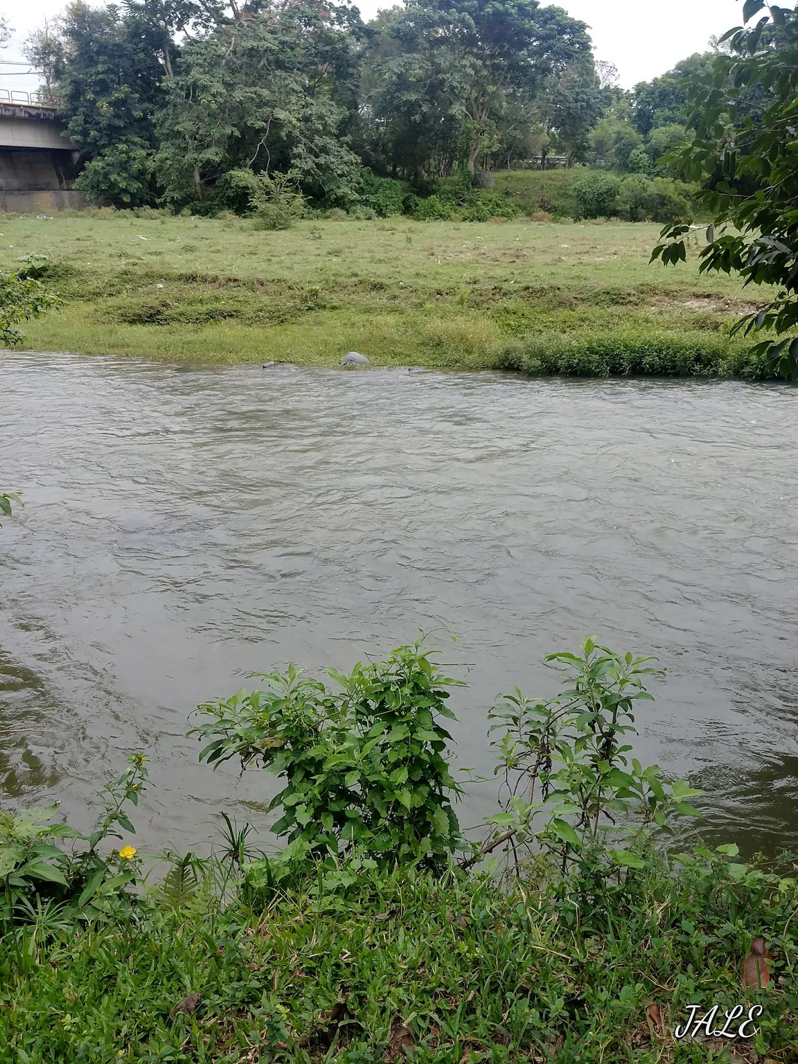 Rio Jimenoa