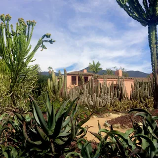 Lotusland