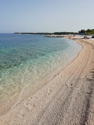 Dog Beach