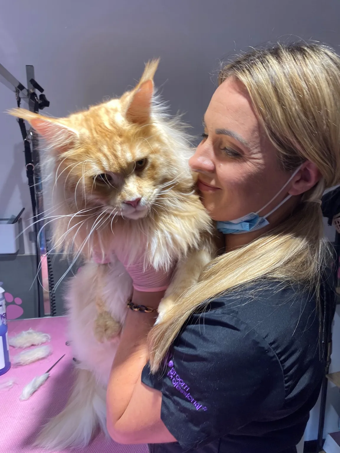 Lillu Pets Groomer Fryzjer dla psów/pielęgnacja zwierząt Kraków