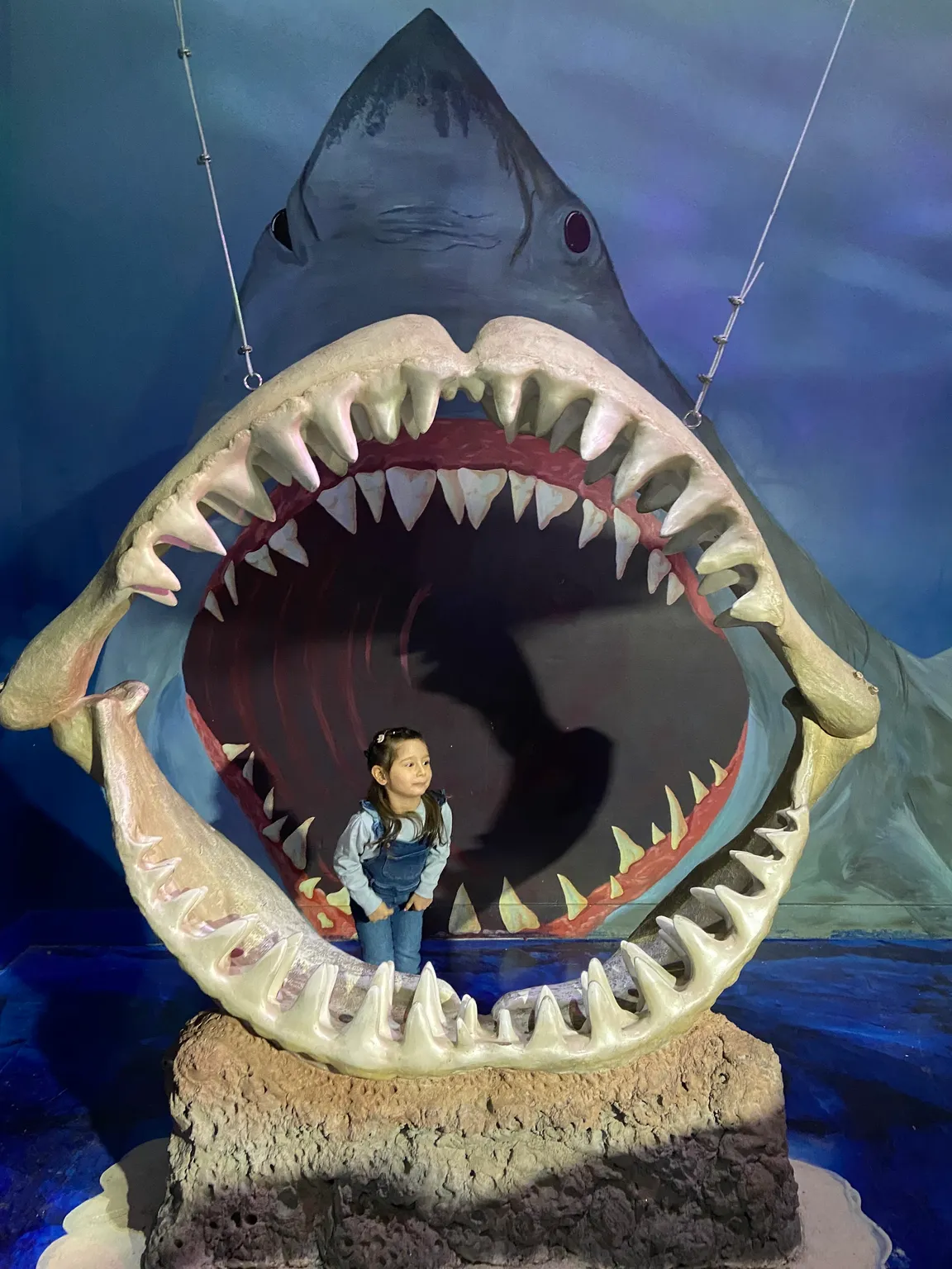 One World Interactive Aquarium