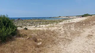 Riserva Naturale Orientata Regionale Palude del Conte e Duna Costiera - Bosco dell'Arneo