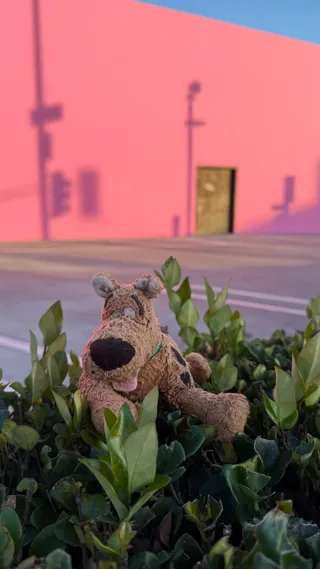 The Paul Smith Pink Wall