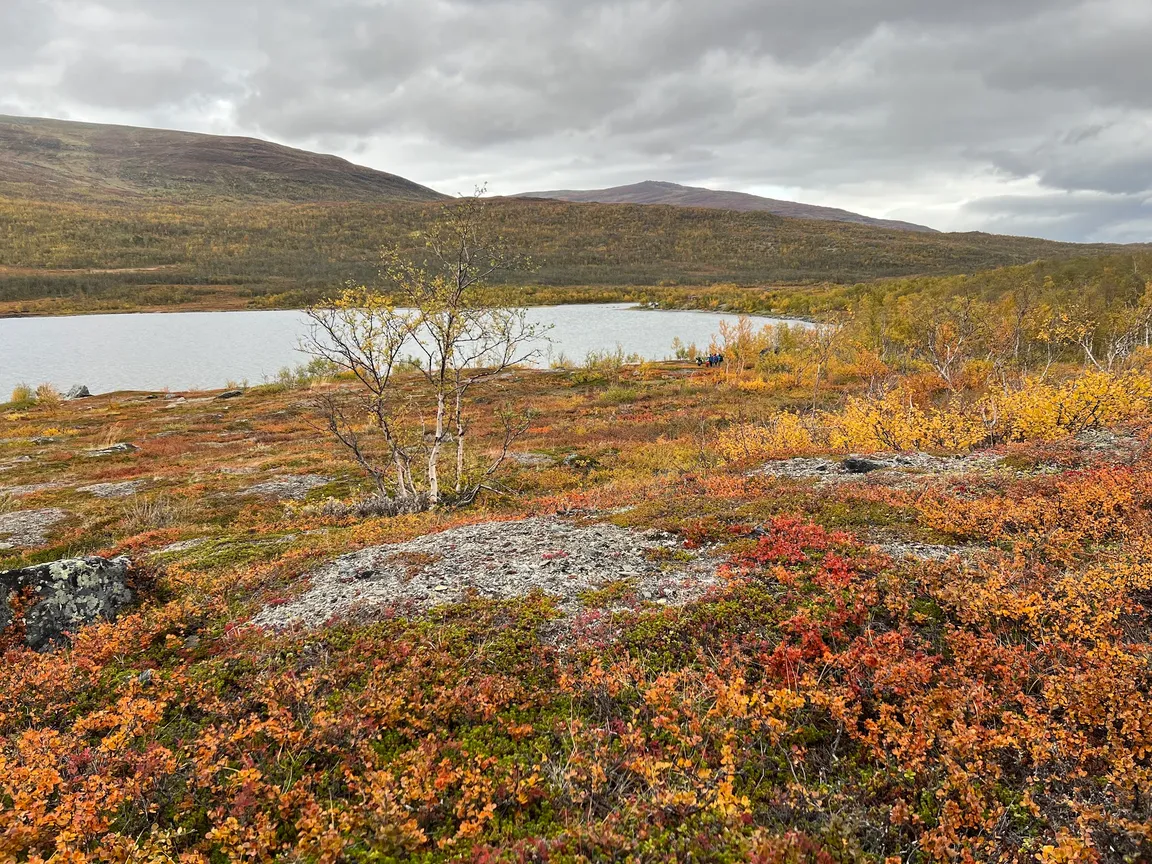 Park Narodowy Abisko