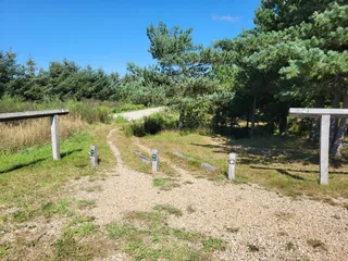 Mountain bike trail Tjæreborg
