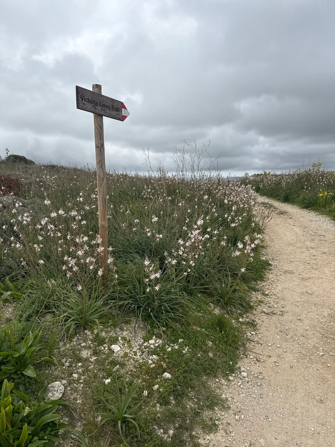 Victoria Lines trail Start