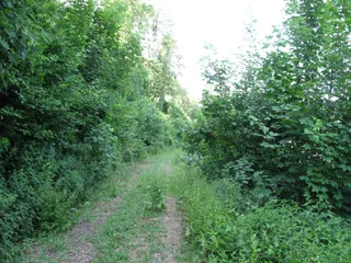 Leitenrain Nature Reserve