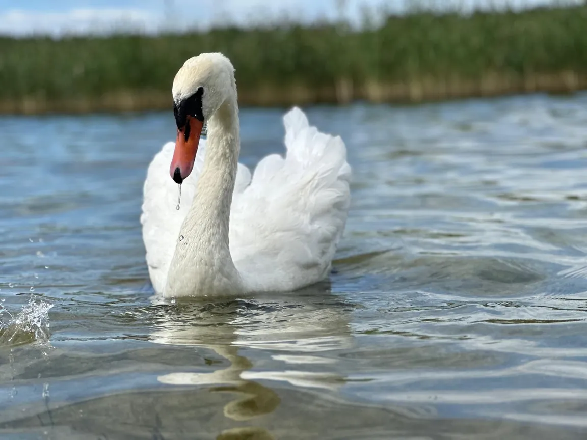 DługaPolanka - CampSite