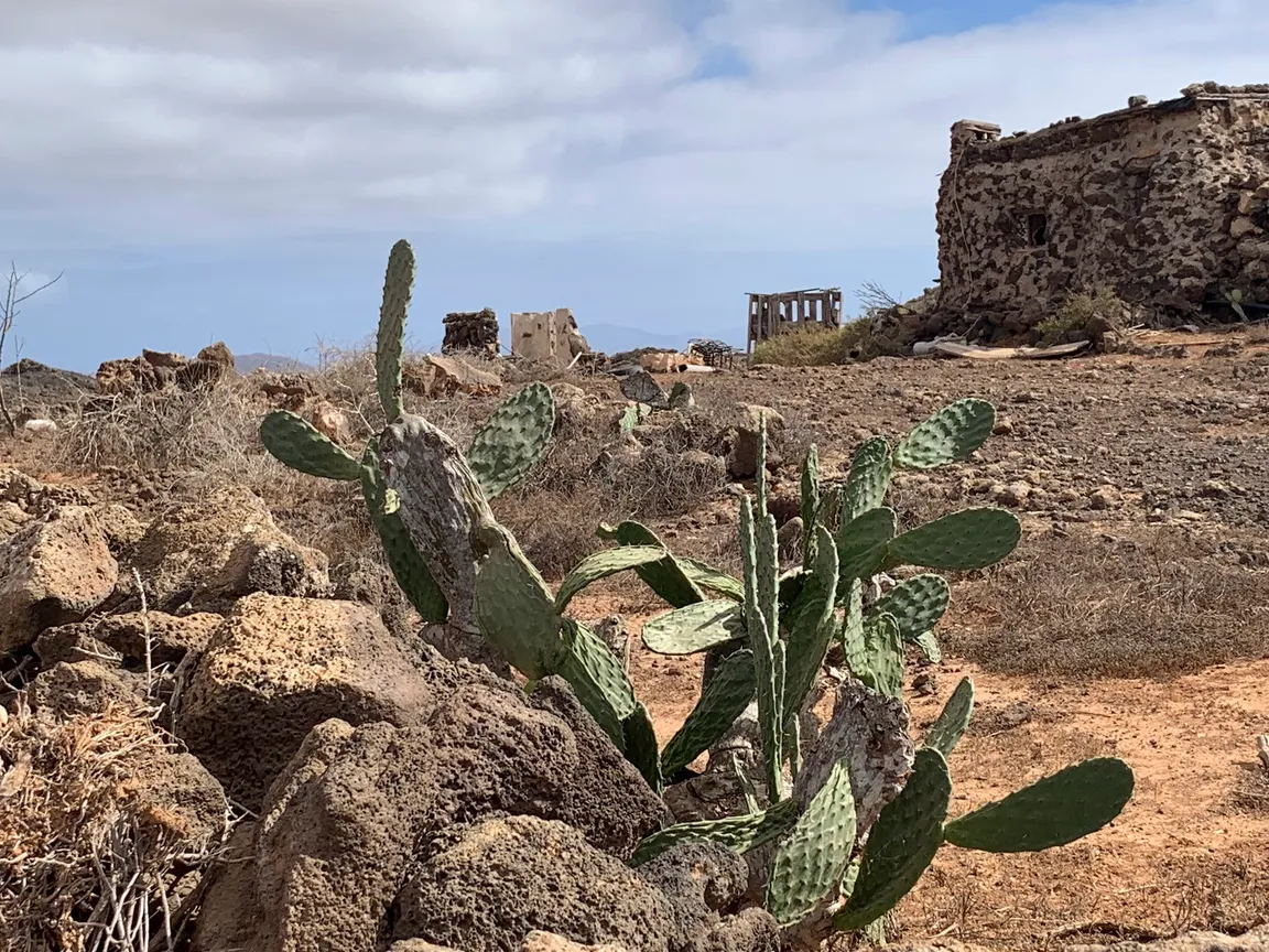 Malpais de La Arena